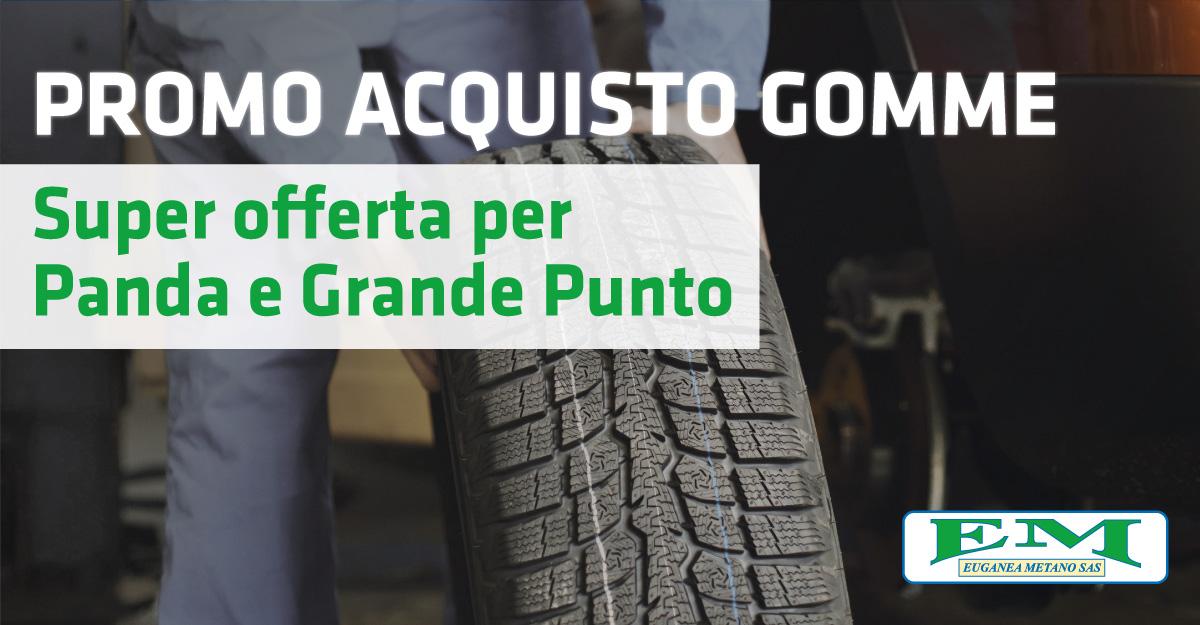 Promo acquisto gomme: super offerta per panda e grande punto.